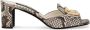 Dolce & Gabbana Python Mule Sandalen met Metalen Logo - Thumbnail 1