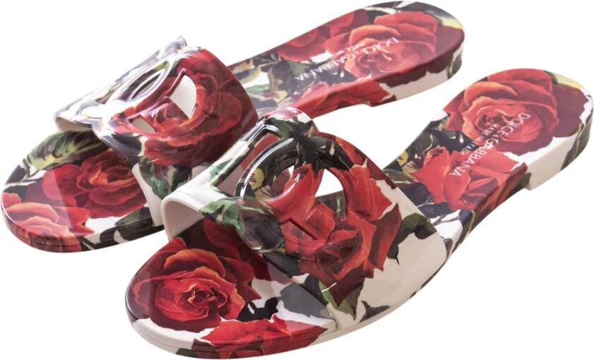 Dolce & Gabbana Pantoffels met logo Multicolor Dames
