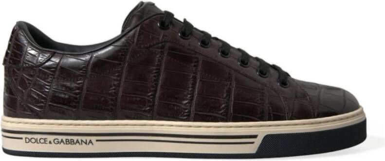 Dolce & Gabbana Sneakers Brown Heren