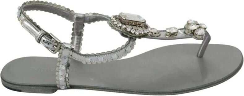 Dolce & Gabbana Zilveren Kristal Flip Flops Glamoureus en Authentiek Gray Dames