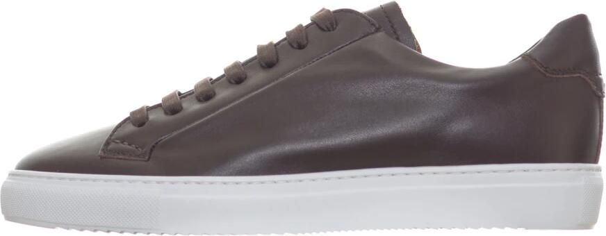 Doucal's Sneaker