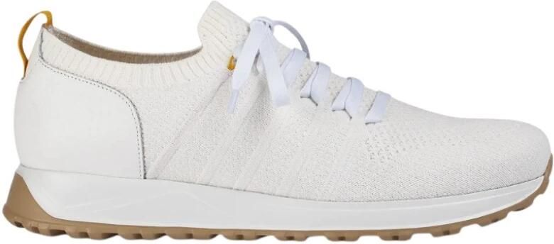 Doucal's Sneaker