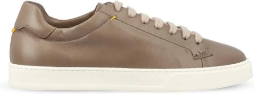 Doucal's Sneaker