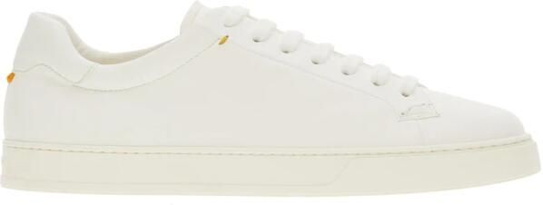 Doucal's Sneaker
