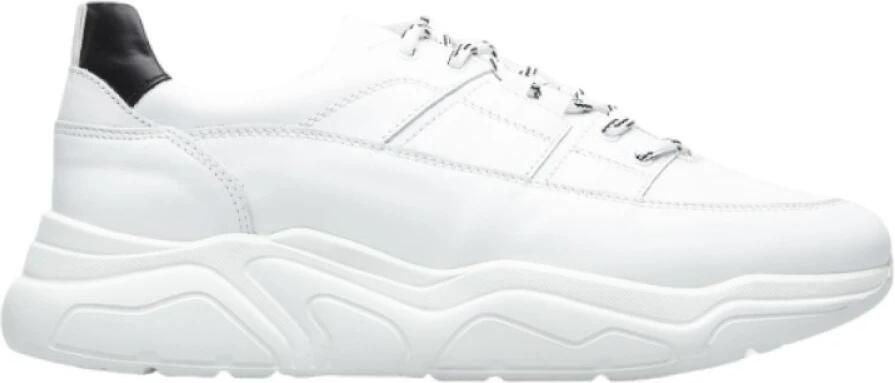 Doucal's Sneakers
