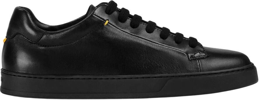 Doucal's Sneakers