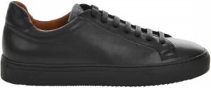 Doucal's Shoes Zwart Heren