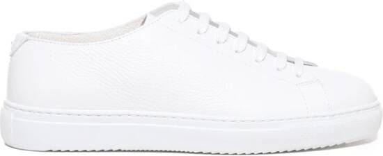 Doucal's Sneakers White Heren