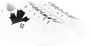 Birkenstock Arizona Shearling Slippers Mink Regular fit | Bruin | Suède - Thumbnail 44