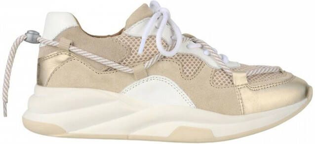 Dwrs PRE Order Maryland Sneakers | White Beige Beige Dames