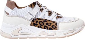 Dwrs Sneakers Wit Dames