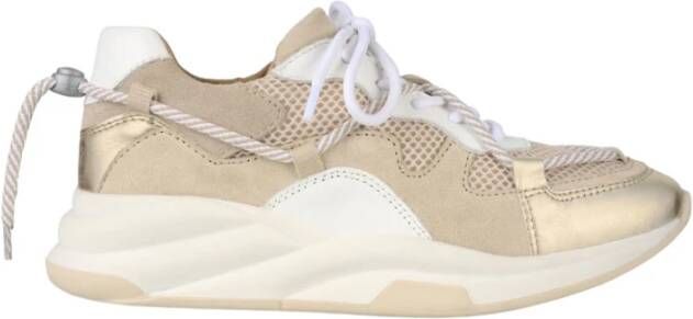 Dwrs PRE Order Maryland Sneakers | White Beige Beige Dames