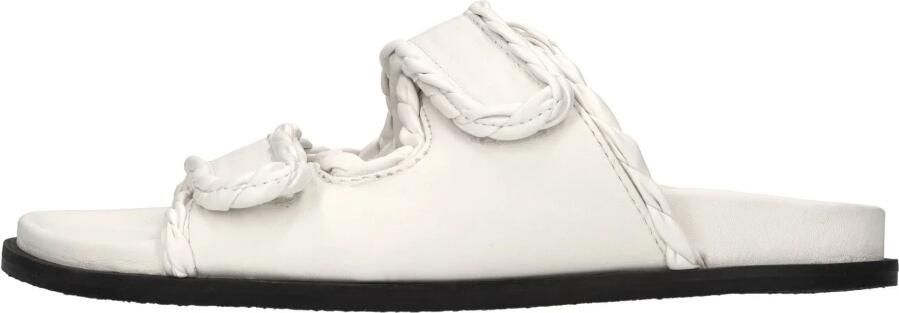 Elena Iachi M52 Mule