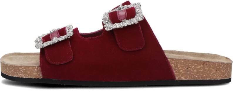 Elena Iachi Paarse Velvet Slipper met Diamanten Gesp