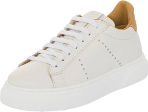 Eleventy Sneakers Beige Dames