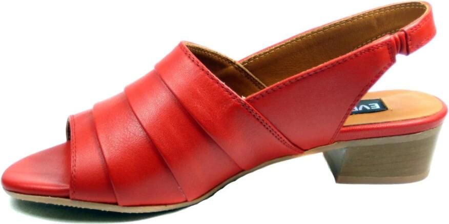 Everybdy Everybody Ixia 28218B Rood - Foto 5