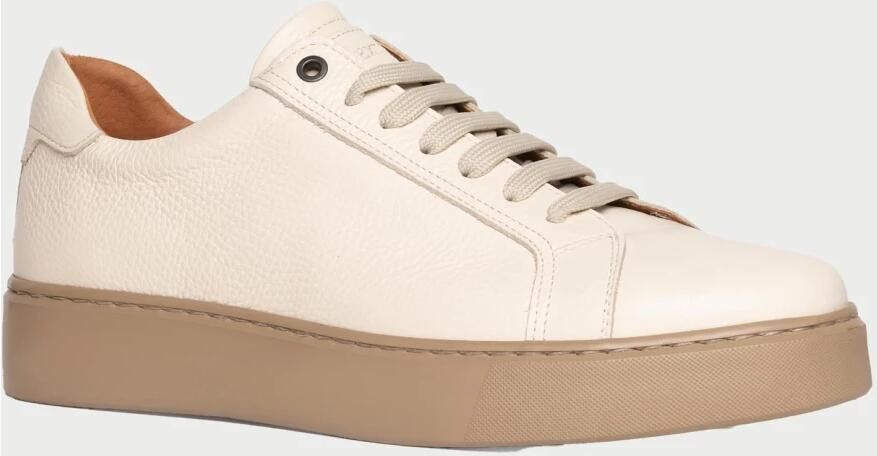 Exton Gehamerd Leren Vetersneakers