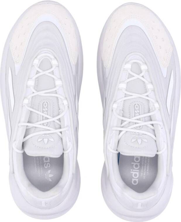 Adidas Cloud White Low Top Sneakers
