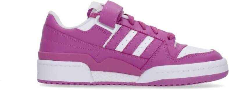 Adidas Lage Basketbalschoen Wit Paars Purple Heren