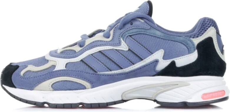 Adidas Lage Schoen in Raw Indigo Zwart Purple Heren