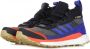 Adidas Free Hiker Gore-Tex Schoenen Blauw Heren - Thumbnail 3