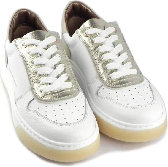 Alexander Smith Sneakers Wit Dames