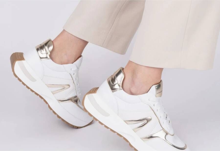 Alexander Smith Wit Goud Hyde Vrouw Sneakers White Dames