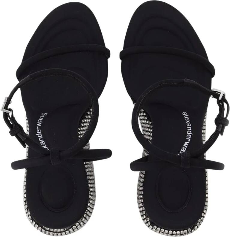 Alexander Wang Dahlia 105 pumps
