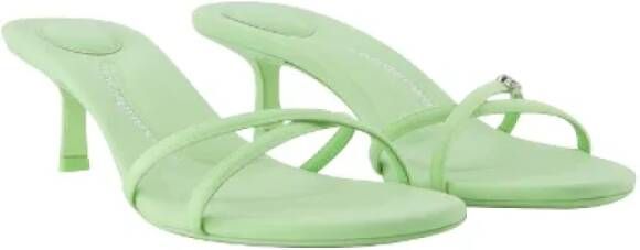alexander wang Leather sandals Green Dames