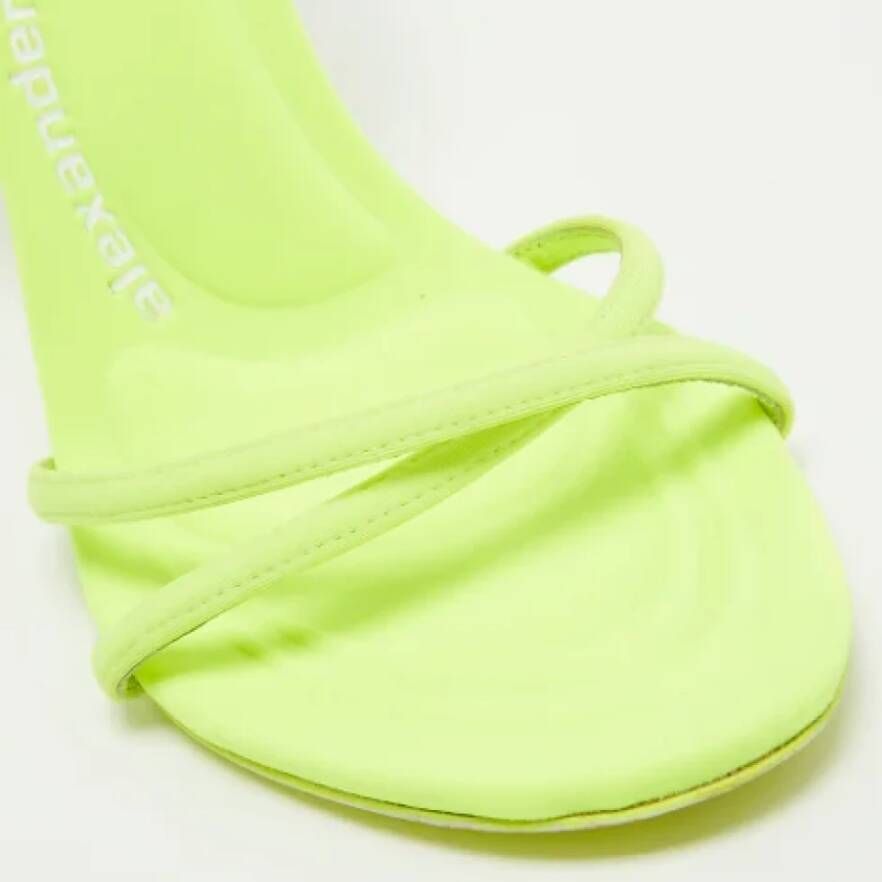 Alexander Wang Pre-owned Fabric sandals Green Dames
