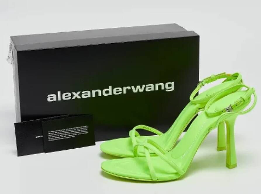 Alexander Wang Pre-owned Fabric sandals Green Dames