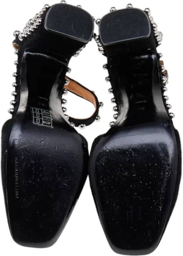 Alexander Wang Pre-owned Suede sandals Black Dames