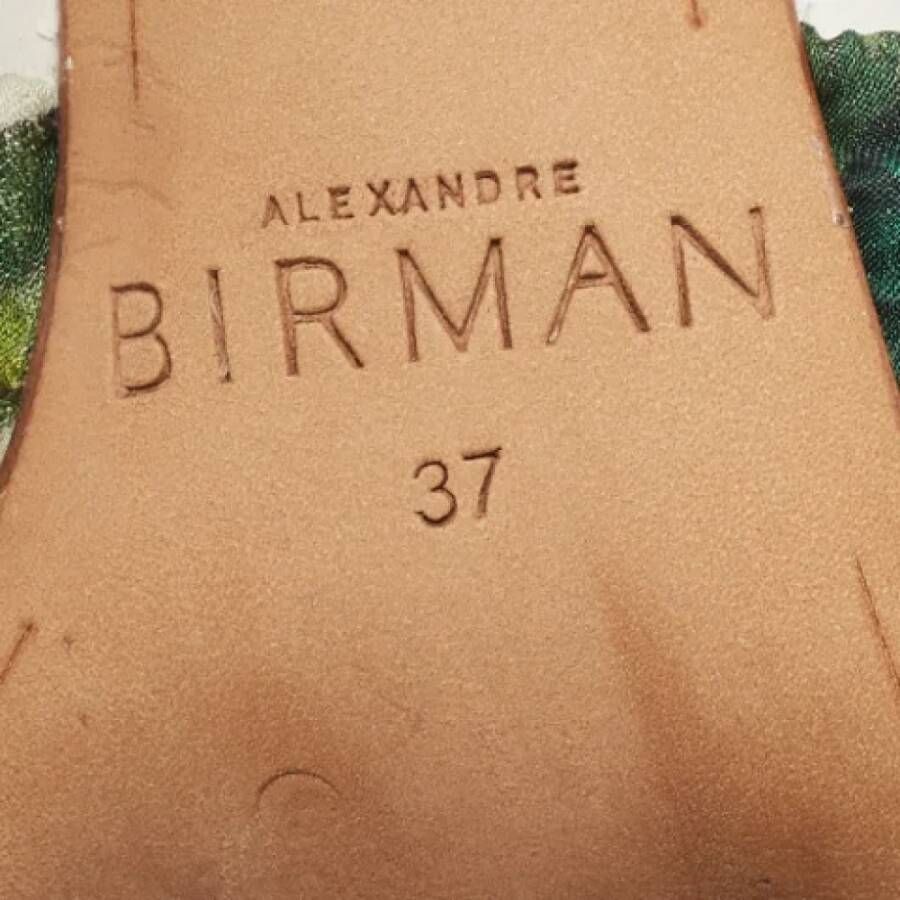 Alexandre Birman Pre-owned Fabric sandals Multicolor Dames