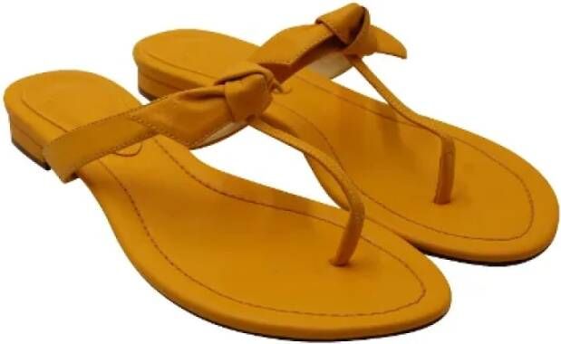 Alexandre Birman Pre-owned Leather sandals Yellow Dames