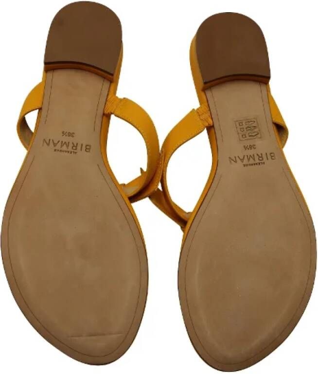 Alexandre Birman Pre-owned Leather sandals Yellow Dames