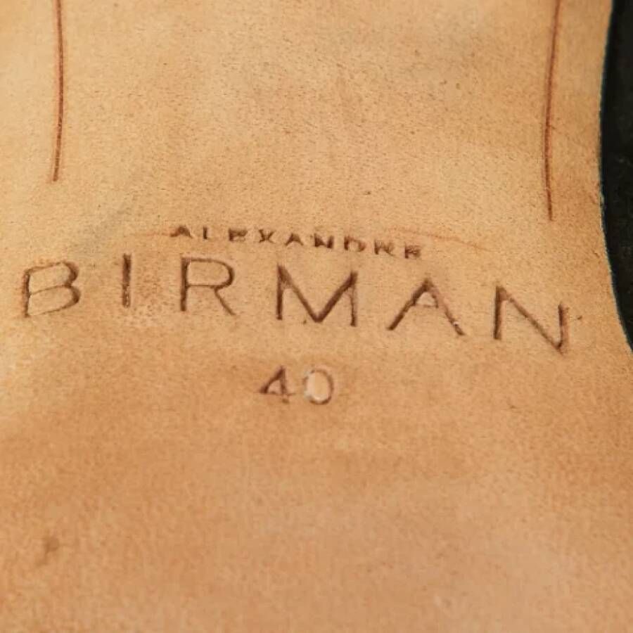 Alexandre Birman Pre-owned Suede sandals Black Dames