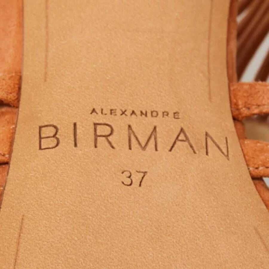 Alexandre Birman Pre-owned Suede sandals Brown Dames