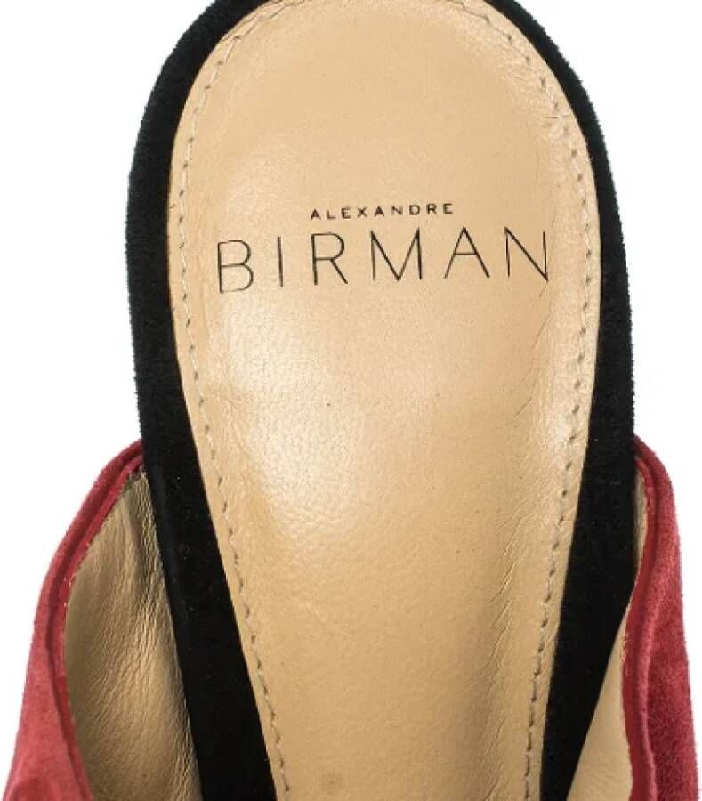 Alexandre Birman Pre-owned Suede sandals Multicolor Dames