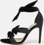 Alexandre Birman Pre-owned Velvet sandals Gray Dames - Thumbnail 2