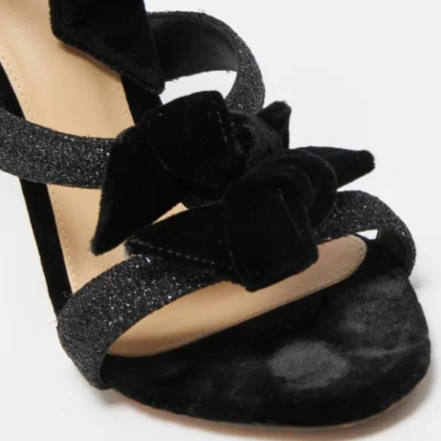 Alexandre Birman Pre-owned Velvet sandals Gray Dames