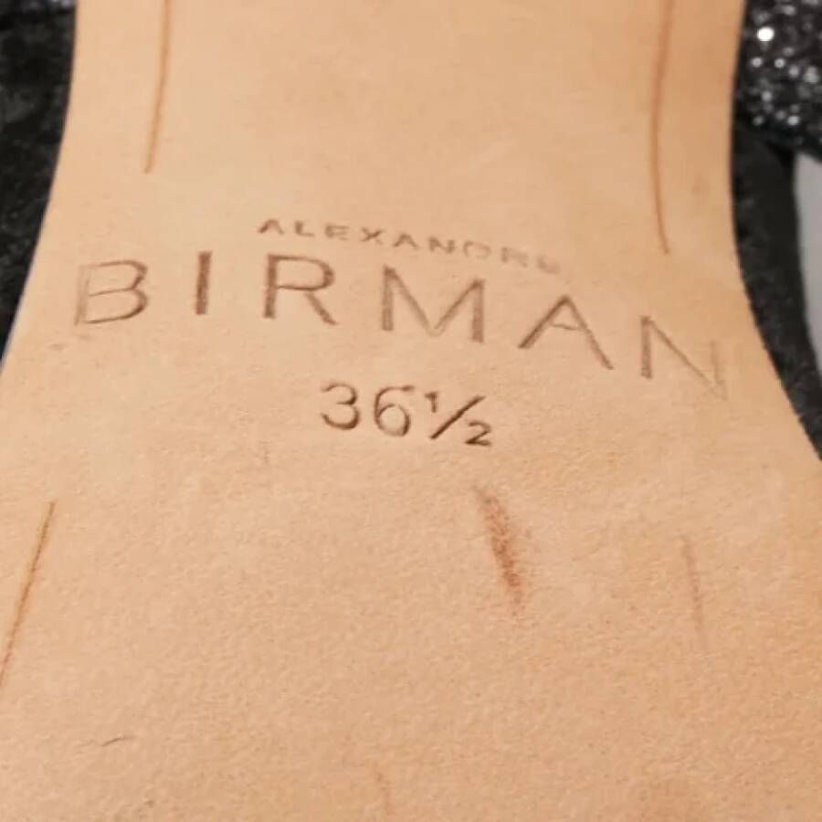 Alexandre Birman Pre-owned Velvet sandals Gray Dames