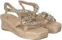 Alma en Pena Beige Casual Damessandalen met Hemp Sole Beige Dames - Thumbnail 3