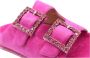 Alma en Pena Platte gespsandaal met sprankelende details Pink Dames - Thumbnail 11