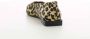 Angel Alarcon Dames Cognac Schoenen Multicolor Dames - Thumbnail 5