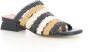Angel Alarcon Multicolor damesschoenen Multicolor Dames - Thumbnail 2