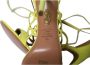 Aquazzura Pre-owned Suede heels Yellow Dames - Thumbnail 6