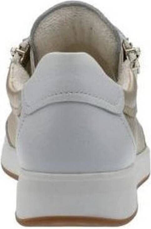 Ara Sneakers Wit Dames