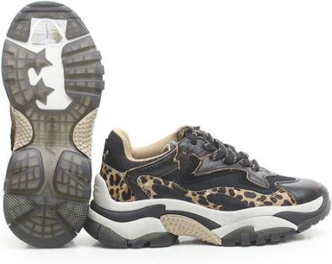 ASH Luipaardprint leren sneakers Addict