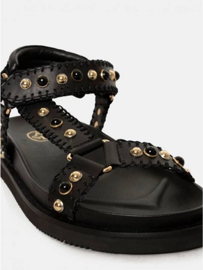 Ash Shoes Black Dames