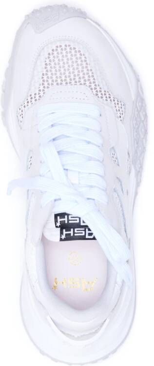 Ash Witte Veterschoenen Wit Dames